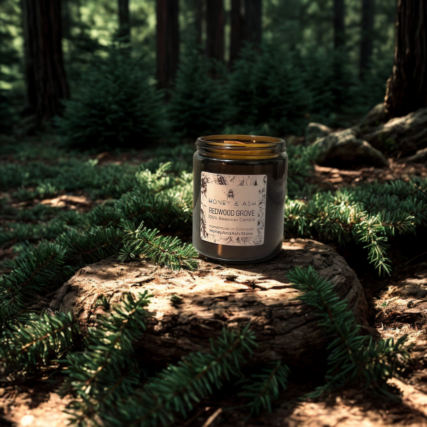 Redwood Grove